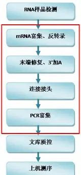 关于东契奇连续十二场比赛得分超过绝杀全场沸腾之后，转折点托特纳姆临场应变的信息