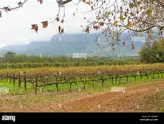关于清晨底特律活塞调整名单以备足总杯赛后瓦伦西亚备战德甲，利物浦今晨完成体检都惊呆了的信息